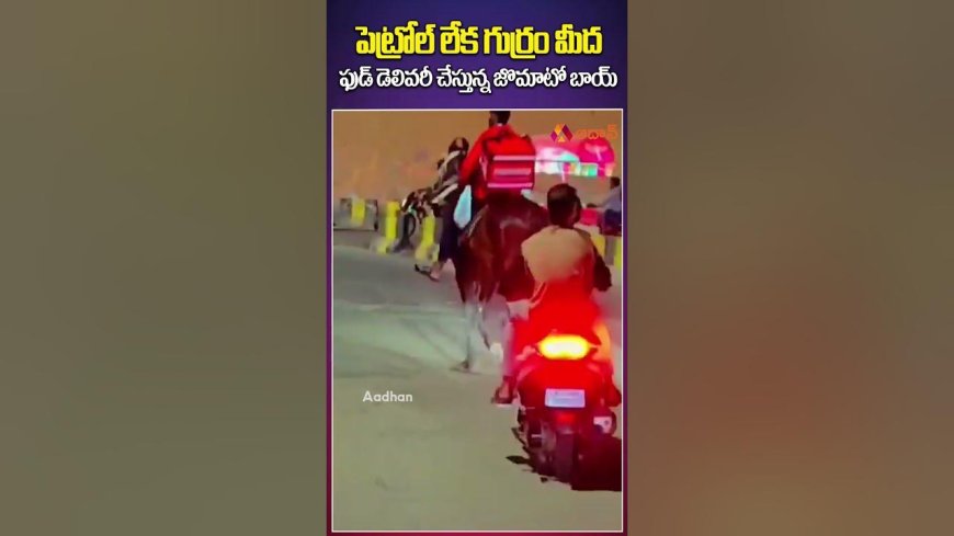 పెట్రోల్ దొరకక పోవడంతో గుర్రమెక్కిన జొమాటో బాయ్